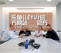 研发能力标题二